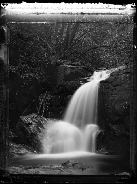 polaroid type 54